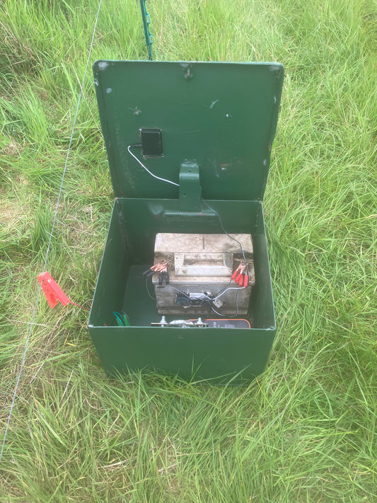 Fencing energiser lock box