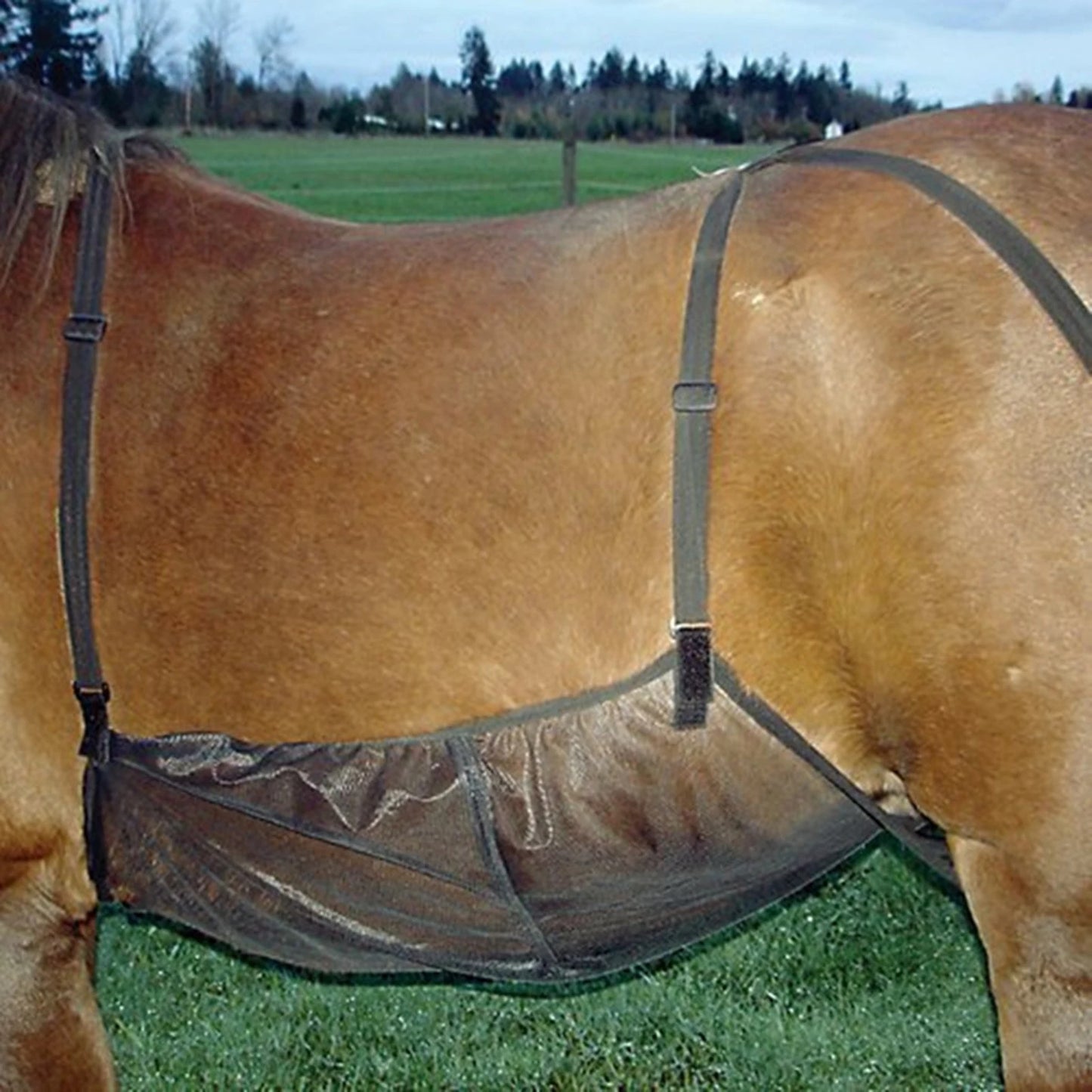 Adjustable Horse Fly Sheet Belly Guard