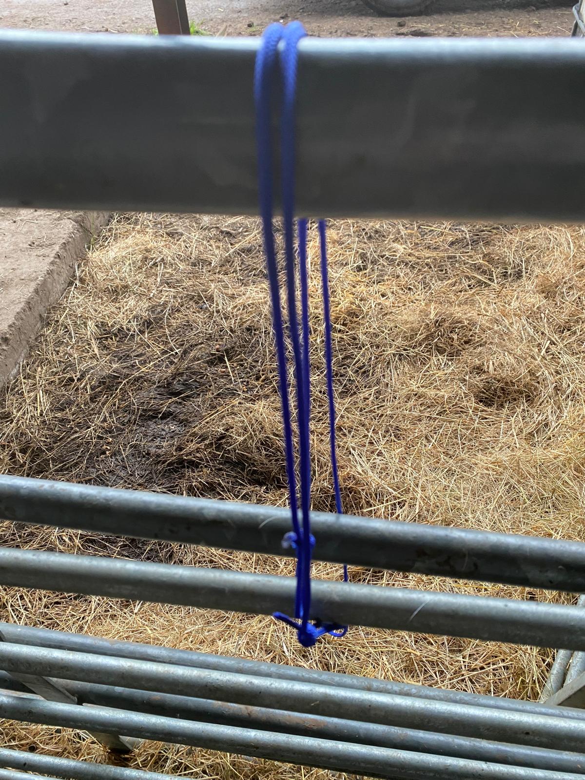 Lambing Ropes